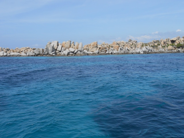 DSCN3207